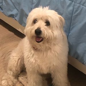 Meet your Posher, Benna